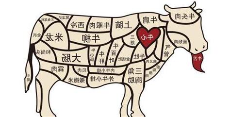 牛陰柳 位置